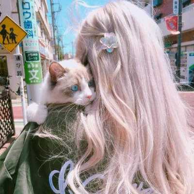 凤凰彩票下载手机版