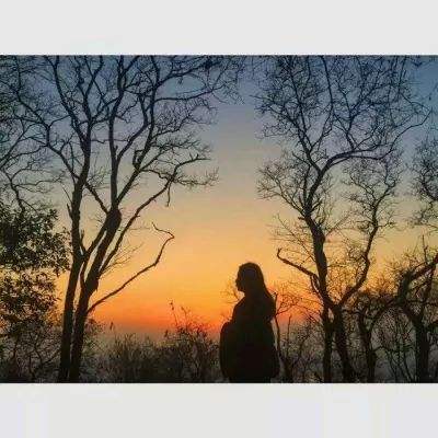 ayx体育在线登录下载手机版