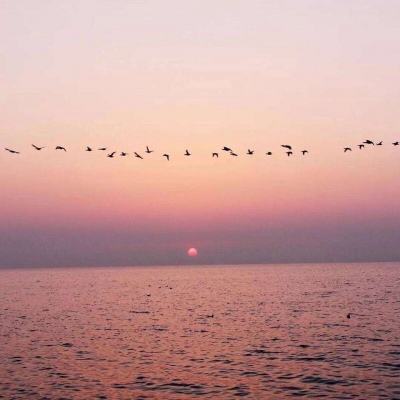 凤凰彩票下载手机版