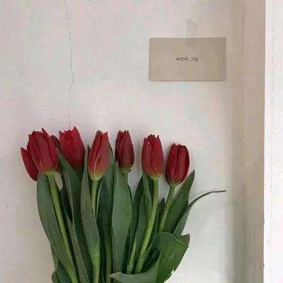 beat365中国在线体育app下载