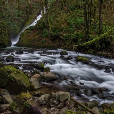 神彩争霸8下载手机版