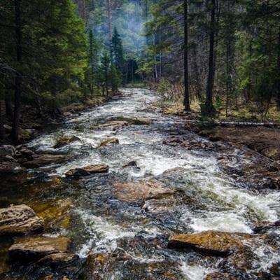 ayx体育在线登录下载手机版